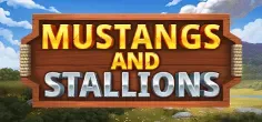 Mustangs and Stallions